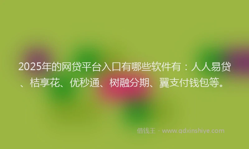 2025年的网贷平台入口有哪些软件有：人人易贷、桔享花、优秒通、树融分期、翼支付钱包等。