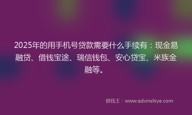 2025年的用手机号贷款需要什么手续有：现金易融贷、借钱宝途、瑞信钱包、安心贷宝、米族金融等。