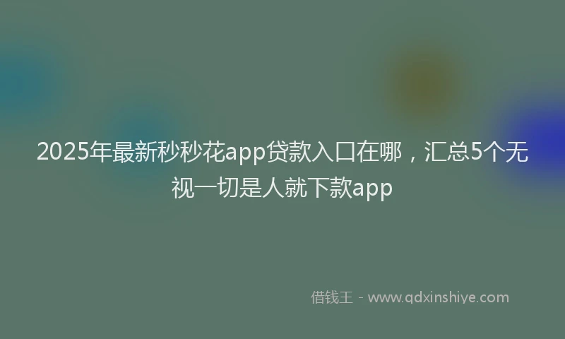 2025年最新秒秒花app贷款入口在哪，汇总5个无视一切是人就下款app