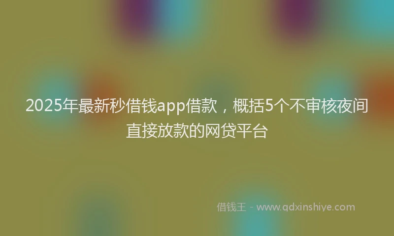 2025年最新秒借钱app借款，概括5个不审核夜间直接放款的网贷平台