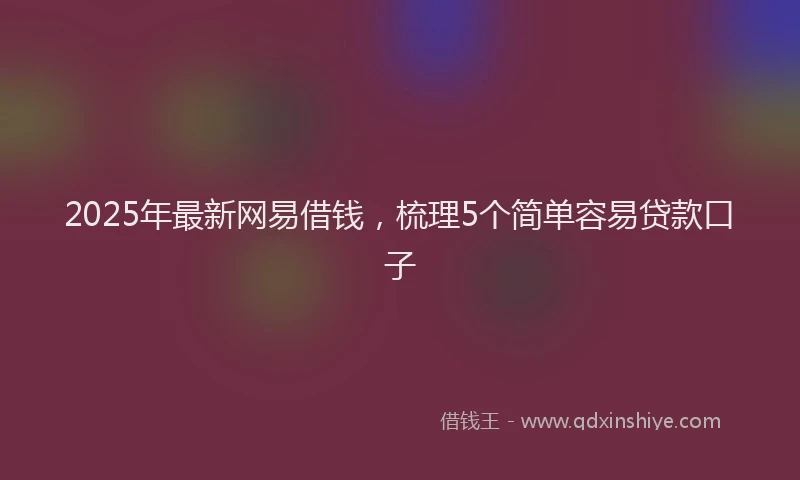 2025年最新网易借钱，梳理5个简单容易贷款口子
