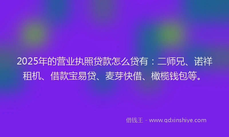 2025年的营业执照贷款怎么贷有：二师兄、诺祥租机、借款宝易贷、麦芽快借、橄榄钱包等。