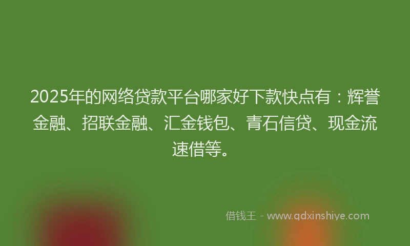 2025年的网络贷款平台哪家好下款快点有：辉誉金融、招联金融、汇金钱包、青石信贷、现金流速借等。
