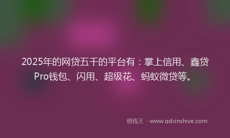 2025年的网贷五千的平台有：掌上信用、鑫贷Pro钱包、闪用、超级花、蚂蚁微贷等。