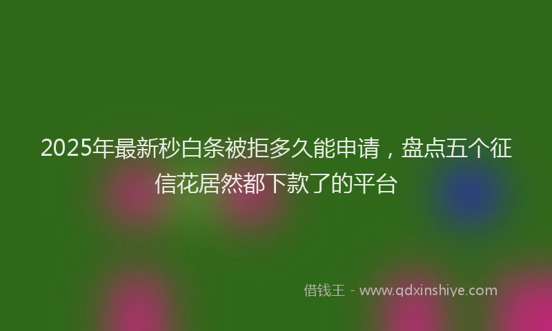 2025年最新秒白条被拒多久能申请，盘点五个征信花居然都下款了的平台
