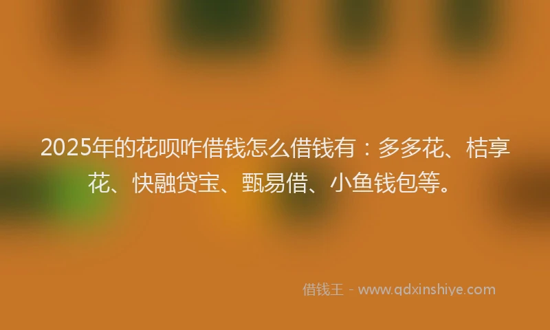 2025年的花呗咋借钱怎么借钱有：多多花、桔享花、快融贷宝、甄易借、小鱼钱包等。