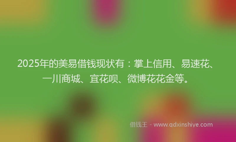 2025年的美易借钱现状有：掌上信用、易速花、一川商城、宜花呗、微博花花金等。