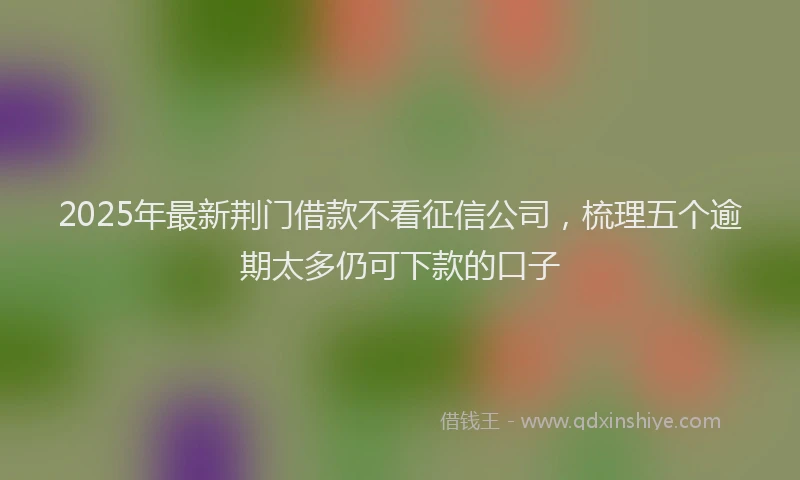 2025年最新荆门借款不看征信公司，梳理五个逾期太多仍可下款的口子