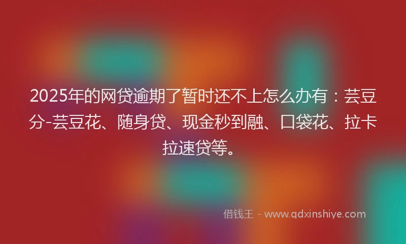 2025年的网贷逾期了暂时还不上怎么办有：芸豆分-芸豆花、随身贷、现金秒到融、口袋花、拉卡拉速贷等。