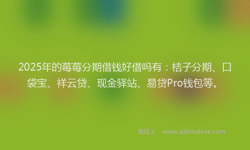 2025年的莓莓分期借钱好借吗有：桔子分期、口袋宝、祥云贷、现金驿站、易贷Pro钱包等。