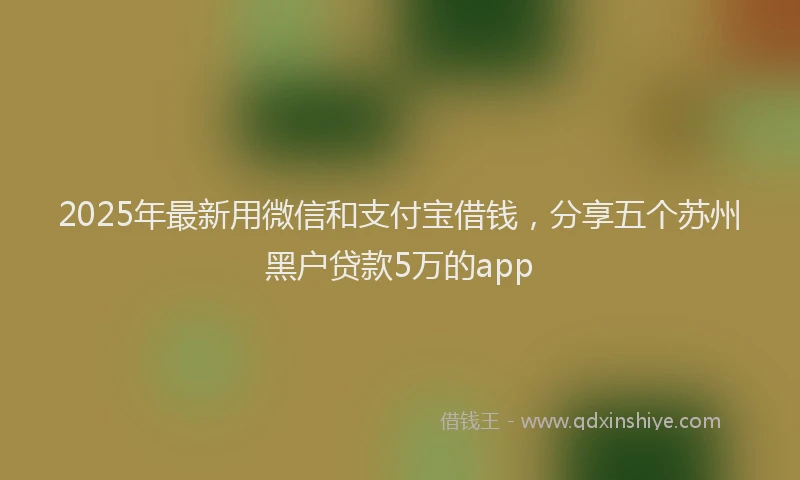 2025年最新用微信和支付宝借钱，分享五个苏州黑户贷款5万的app