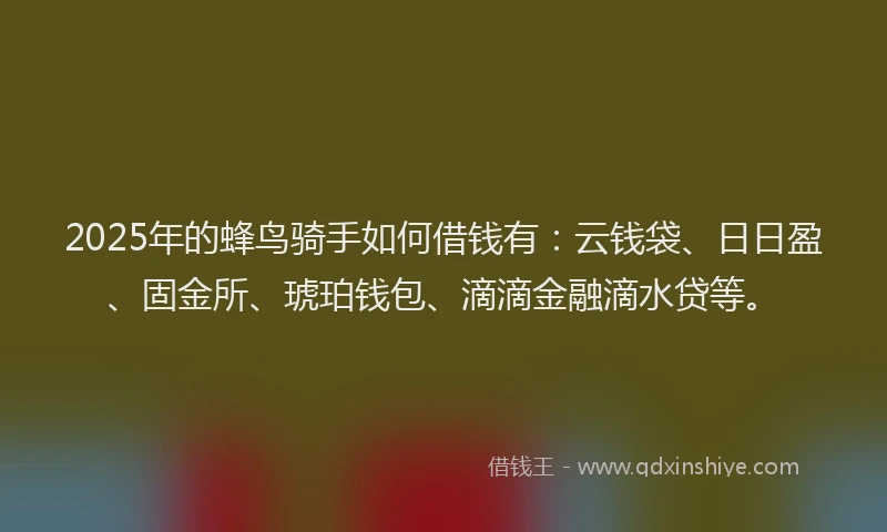 2025年的蜂鸟骑手如何借钱有：云钱袋、日日盈、固金所、琥珀钱包、滴滴金融滴水贷等。