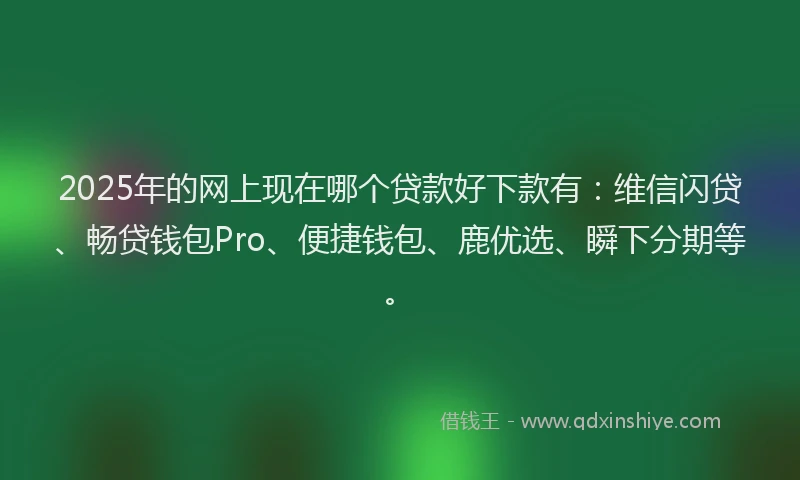 2025年的网上现在哪个贷款好下款有：维信闪贷、畅贷钱包Pro、便捷钱包、鹿优选、瞬下分期等。