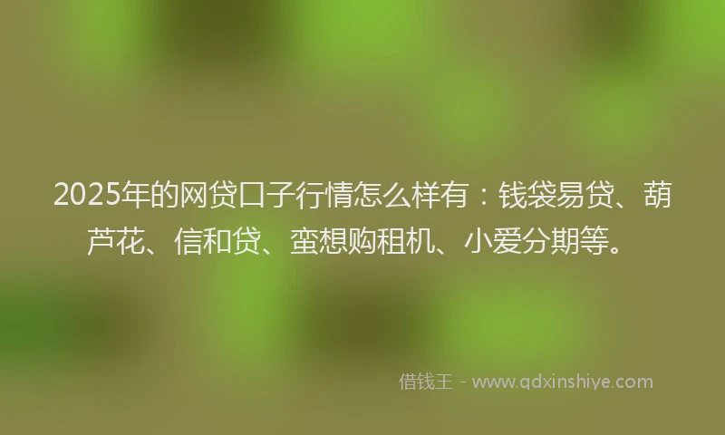 2025年的网贷口子行情怎么样有：钱袋易贷、葫芦花、信和贷、蛮想购租机、小爱分期等。
