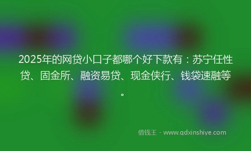 2025年的网贷小口子都哪个好下款有：苏宁任性贷、固金所、融资易贷、现金侠行、钱袋速融等。