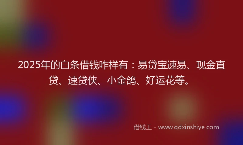 2025年的白条借钱咋样有：易贷宝速易、现金直贷、速贷侠、小金鸽、好运花等。