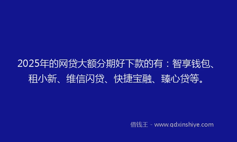 2025年的网贷大额分期好下款的有：智享钱包、租小新、维信闪贷、快捷宝融、臻心贷等。