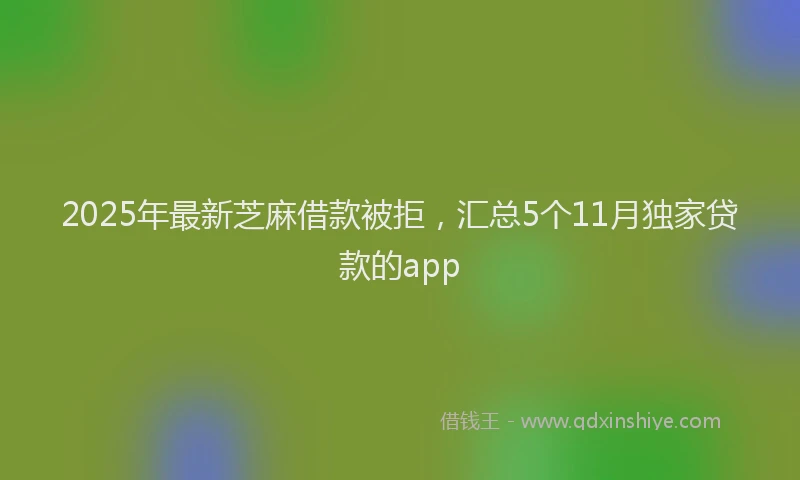 2025年最新芝麻借款被拒，汇总5个11月独家贷款的app