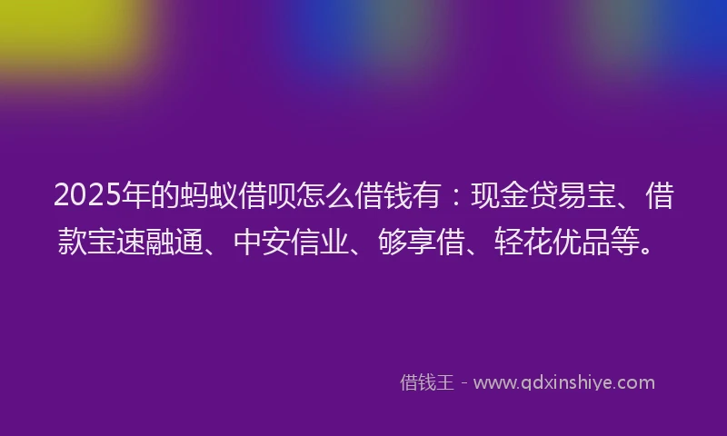2025年的蚂蚁借呗怎么借钱有：现金贷易宝、借款宝速融通、中安信业、够享借、轻花优品等。