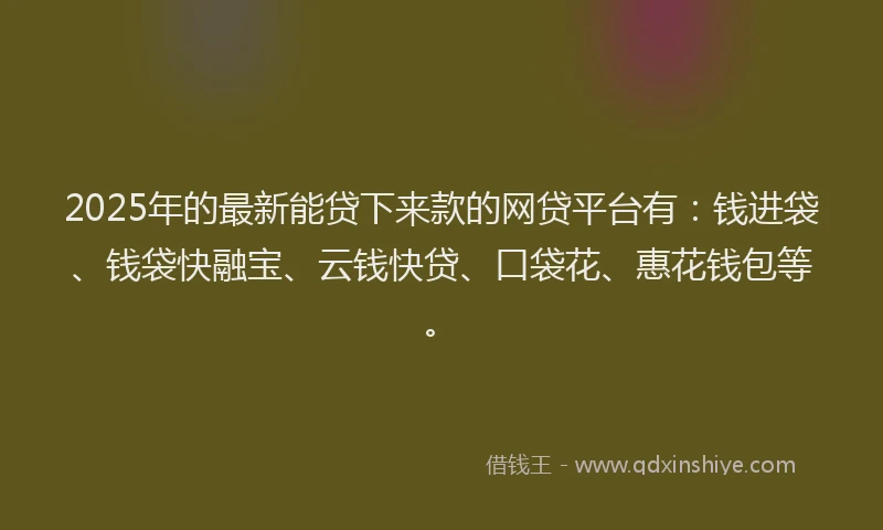 2025年的最新能贷下来款的网贷平台有：钱进袋、钱袋快融宝、云钱快贷、口袋花、惠花钱包等。