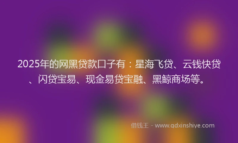 2025年的网黑贷款口子有：星海飞贷、云钱快贷、闪贷宝易、现金易贷宝融、黑鲸商场等。