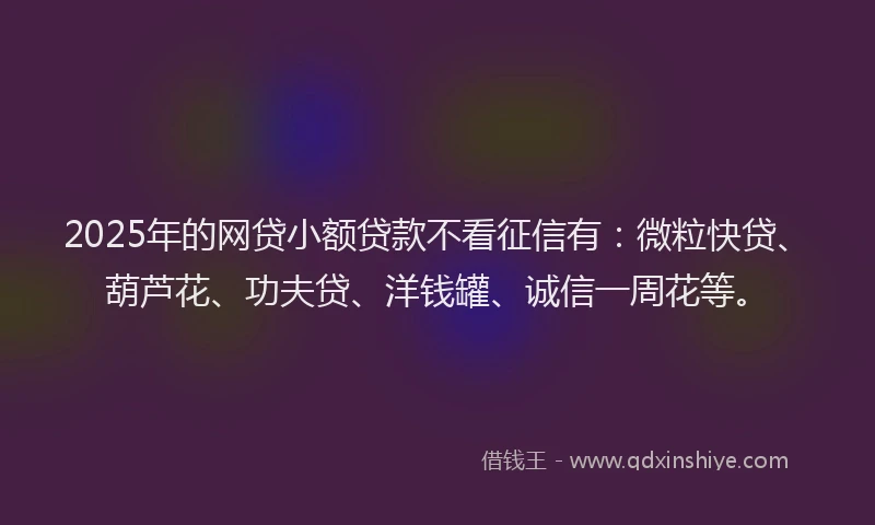 2025年的网贷小额贷款不看征信有：微粒快贷、葫芦花、功夫贷、洋钱罐、诚信一周花等。