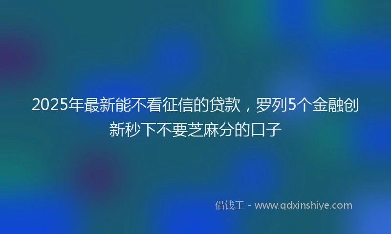 2025年最新能不看征信的贷款，罗列5个金融创新秒下不要芝麻分的口子