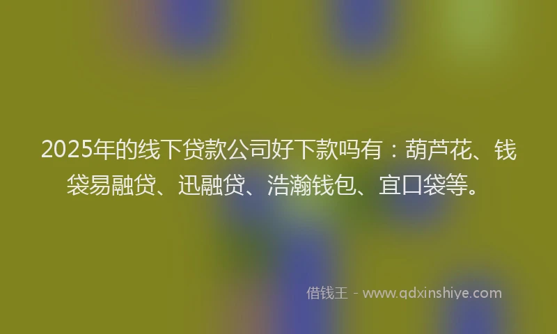 2025年的线下贷款公司好下款吗有:葫芦花、钱袋易融贷、迅融贷、浩瀚钱包、宜口袋等。