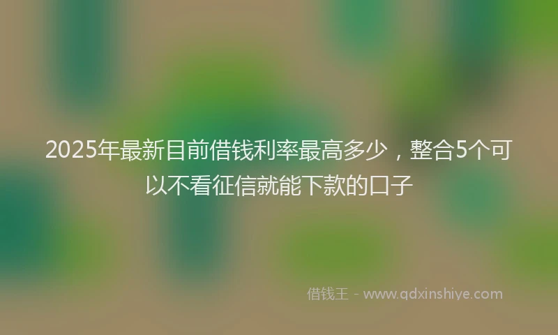 2025年最新目前借钱利率最高多少，整合5个可以不看征信就能下款的口子