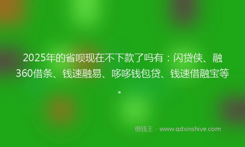 2025年的省呗现在不下款了吗有：闪贷侠、融360借条、钱速融易、哆哆钱包贷、钱速借融宝等。