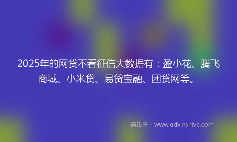 2025年的网贷不看征信大数据有：盈小花、腾飞商城、小米贷、易贷宝融、团贷网等。