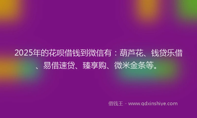 2025年的花呗借钱到微信有：葫芦花、钱贷乐借、易借速贷、臻享购、微米金条等。