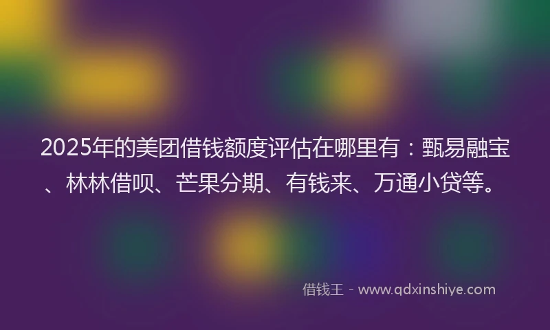 2025年的美团借钱额度评估在哪里有：甄易融宝、林林借呗、芒果分期、有钱来、万通小贷等。