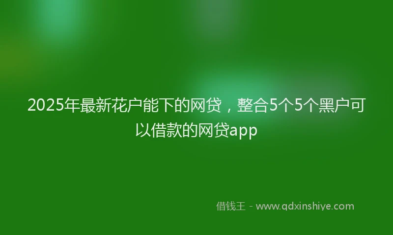 2025年最新花户能下的网贷，整合5个5个黑户可以借款的网贷app