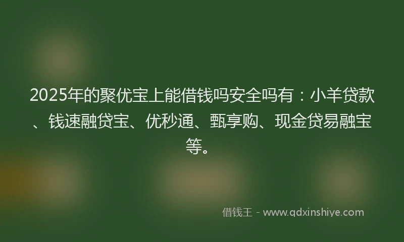 2025年的聚优宝上能借钱吗安全吗有：小羊贷款、钱速融贷宝、优秒通、甄享购、现金贷易融宝等。