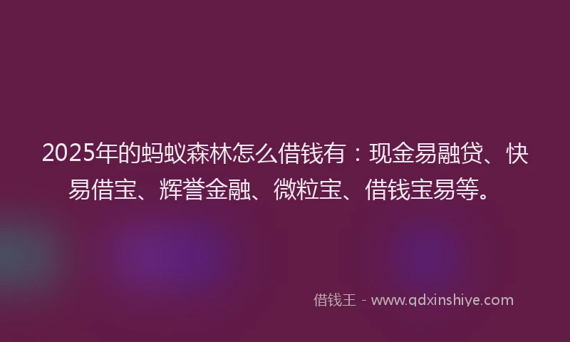 2025年的蚂蚁森林怎么借钱有：现金易融贷、快易借宝、辉誉金融、微粒宝、借钱宝易等。