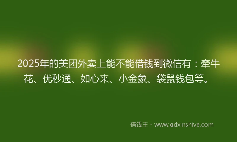 2025年的美团外卖上能不能借钱到微信有：牵牛花、优秒通、如心来、小金象、袋鼠钱包等。