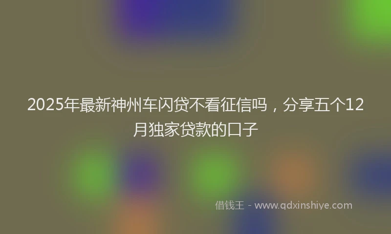 2025年最新神州车闪贷不看征信吗，分享五个12月独家贷款的口子