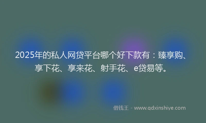 2025年的私人网贷平台哪个好下款有：臻享购、享下花、享来花、射手花、e贷易等。