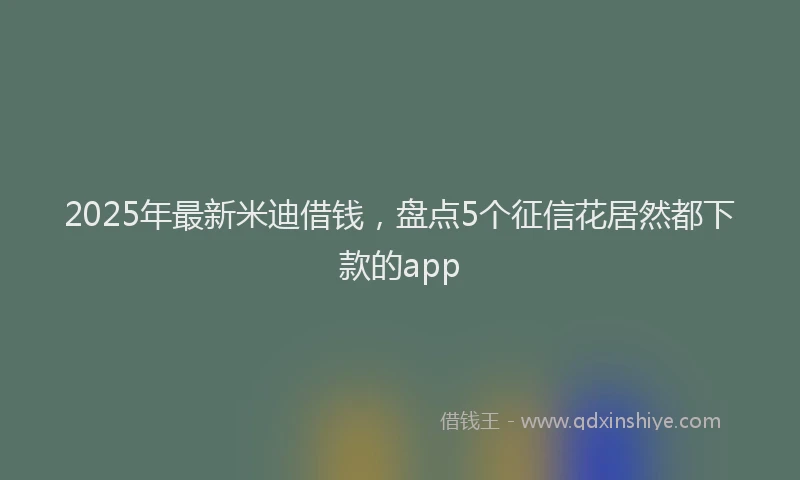 2025年最新米迪借钱，盘点5个征信花居然都下款的app