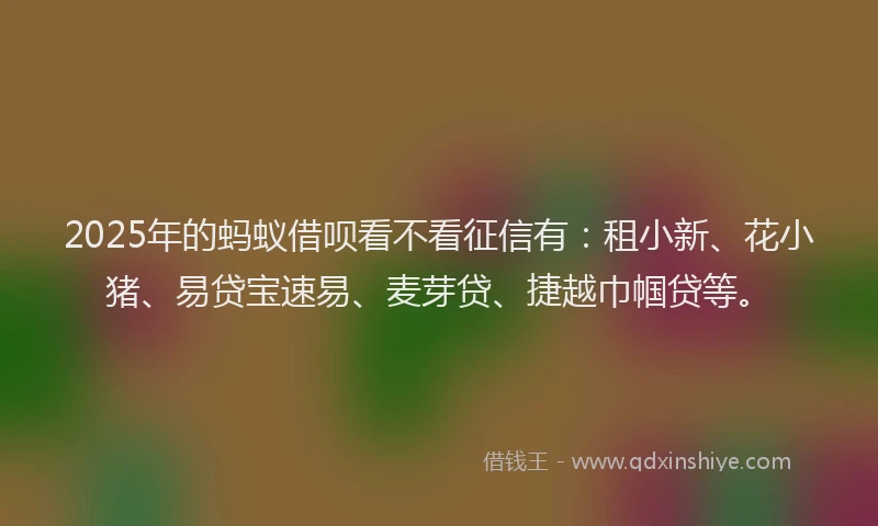 2025年的蚂蚁借呗看不看征信有：租小新、花小猪、易贷宝速易、麦芽贷、捷越巾帼贷等。