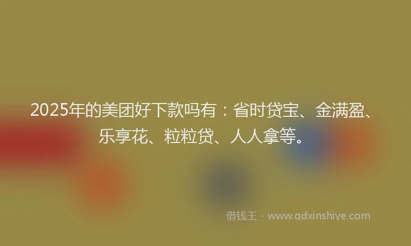 2025年的美团好下款吗有：省时贷宝、金满盈、乐享花、粒粒贷、人人拿等。