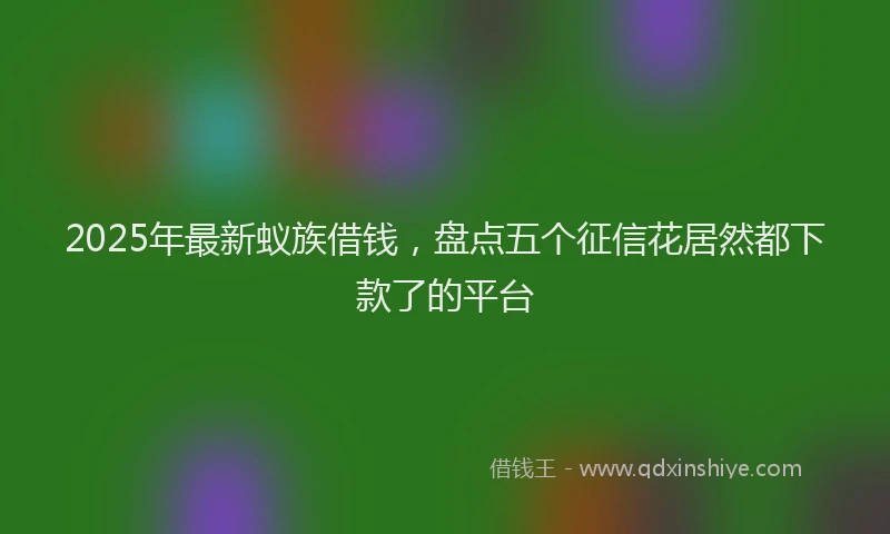 2025年最新蚁族借钱，盘点五个征信花居然都下款了的平台