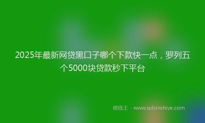 2025年最新网贷黑口子哪个下款快一点，罗列五个5000块贷款秒下平台