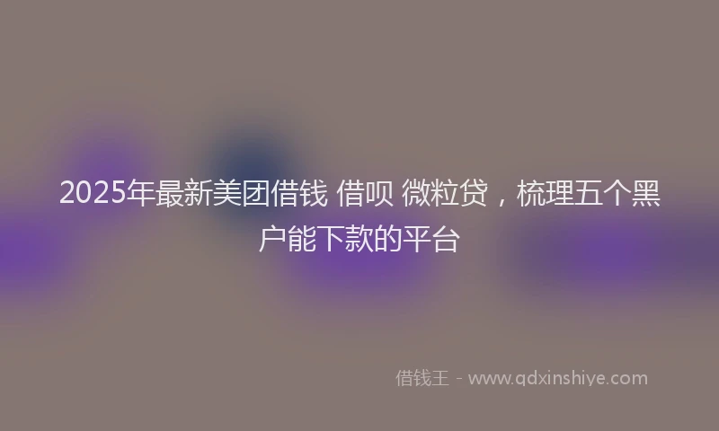 2025年最新美团借钱 借呗 微粒贷，梳理五个黑户能下款的平台