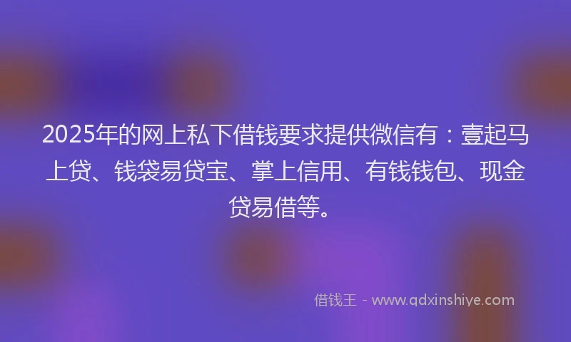2025年的网上私下借钱要求提供微信有：壹起马上贷、钱袋易贷宝、掌上信用、有钱钱包、现金贷易借等。