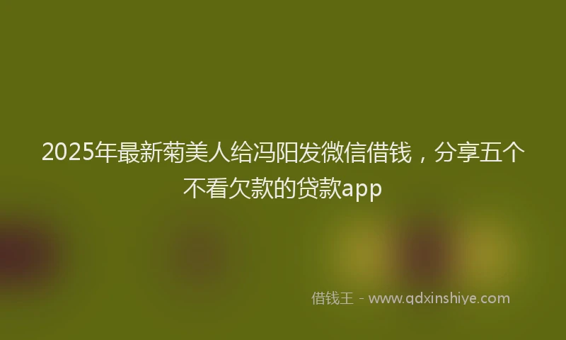 2025年最新菊美人给冯阳发微信借钱，分享五个不看欠款的贷款app