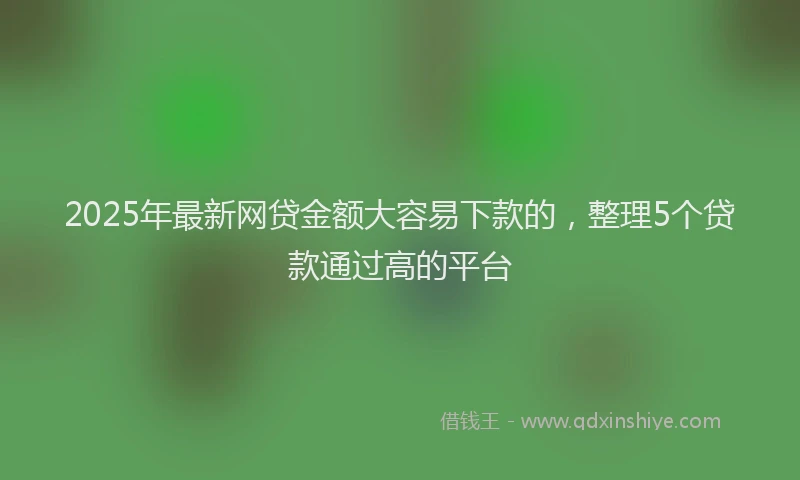 2025年最新网贷金额大容易下款的，整理5个贷款通过高的平台