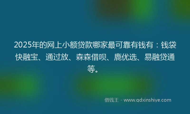2025年的网上小额贷款哪家最可靠有钱有：钱袋快融宝、通过放、森森借呗、鹿优选、易融贷通等。