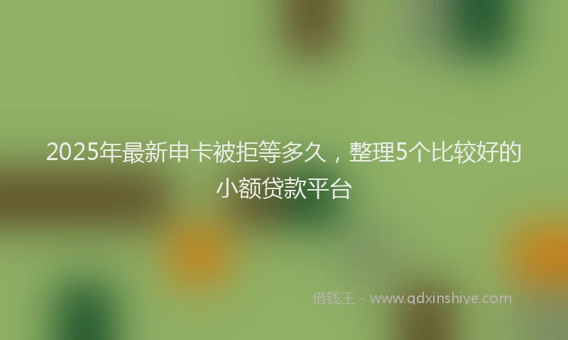 2025年最新申卡被拒等多久，整理5个比较好的小额贷款平台